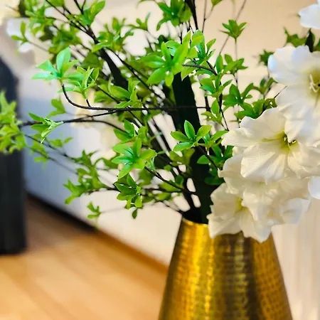 Apartment Dschungel Wohnung, Geräumig, Netflix, Sonos, Zentral